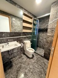 Suites @ Cairnhill (D9), Apartment #578390501